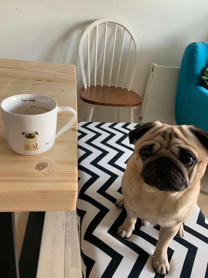 Cute Pug Guest Room Kopenhagen Exterior foto