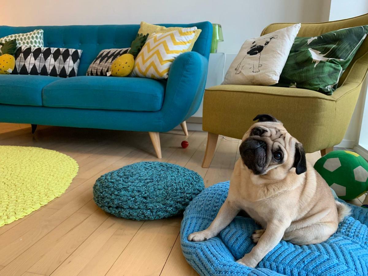 Cute Pug Guest Room Kopenhagen Exterior foto